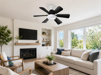 Modern Ceiling Fan with Light, 6-Blade Low Profile Fan Light, Can Adjust 3 Speeds, Can Set Timer, Easy to Install, Black and White Options for Bedroom Kitchen Dimmable