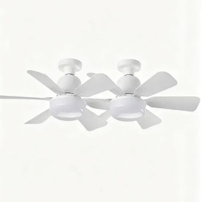 Modern Ceiling Fan with Light, 6-Blade Low Profile Fan Light, Can Adjust 3 Speeds, Can Set Timer, Easy to Install, Black and White Options for Bedroom Kitchen Dimmable